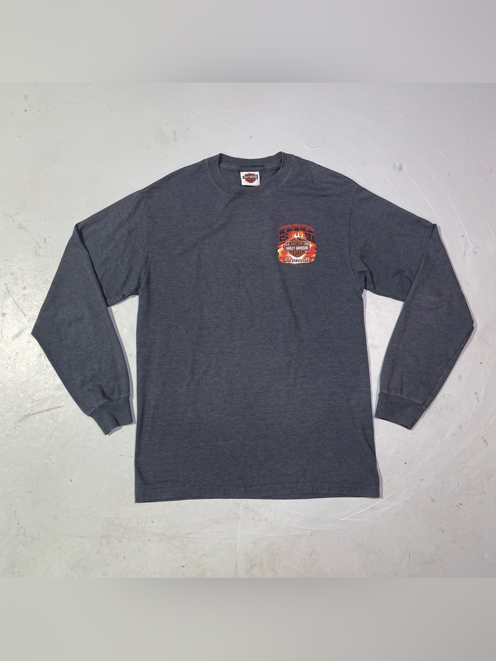 Harley-Davidson Charcoal Long-Sleeve Tee with Red & Orange Chest Graphic